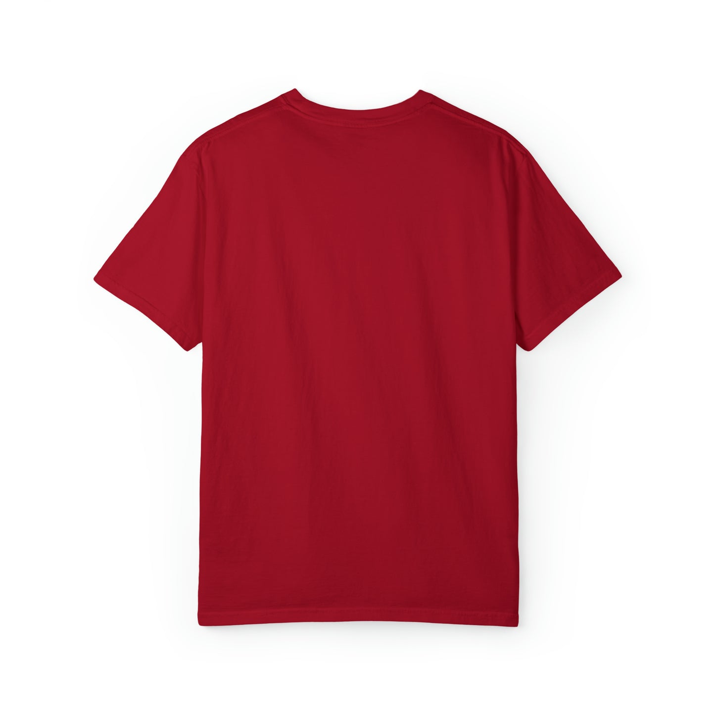 Beauty, Brains & Breakaways Unisex Comfort Colors T-Shirt