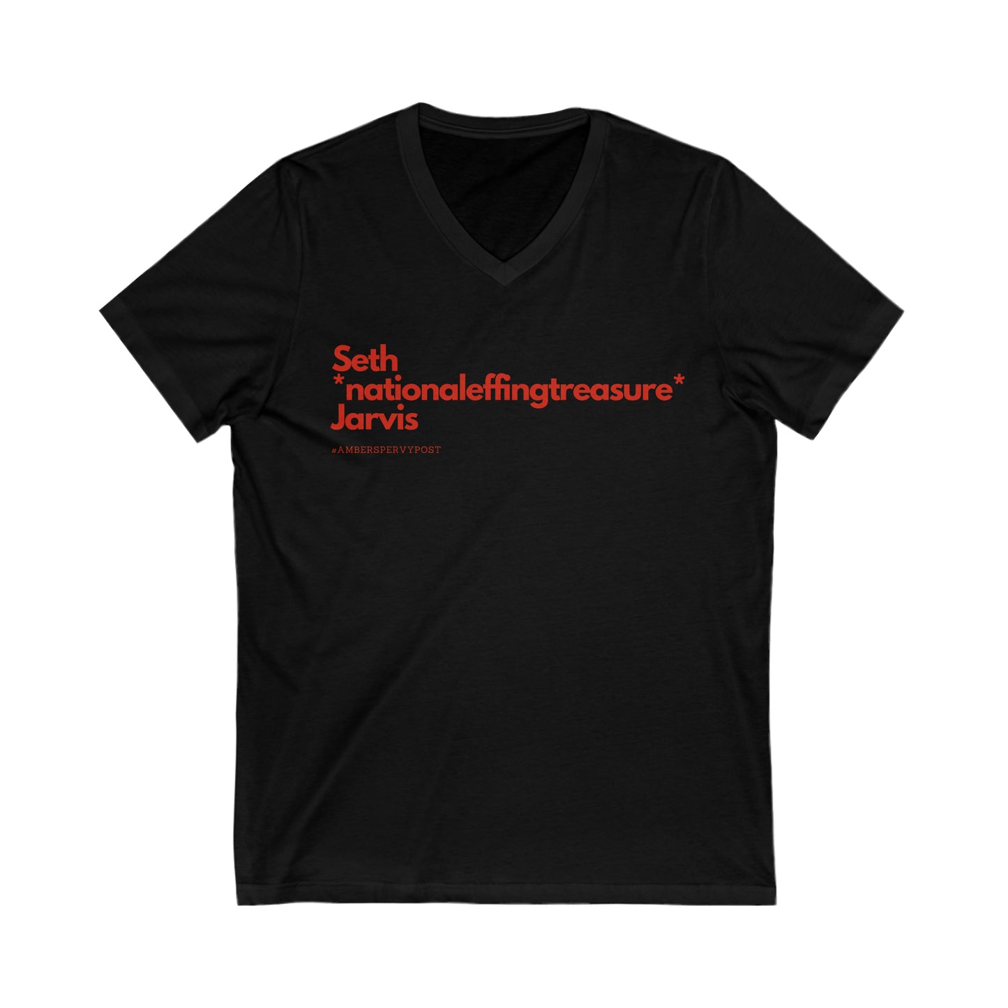 Seth *nationaleffingtreasure* Jarvis Unisex Bella + Canvas V Neck Tee