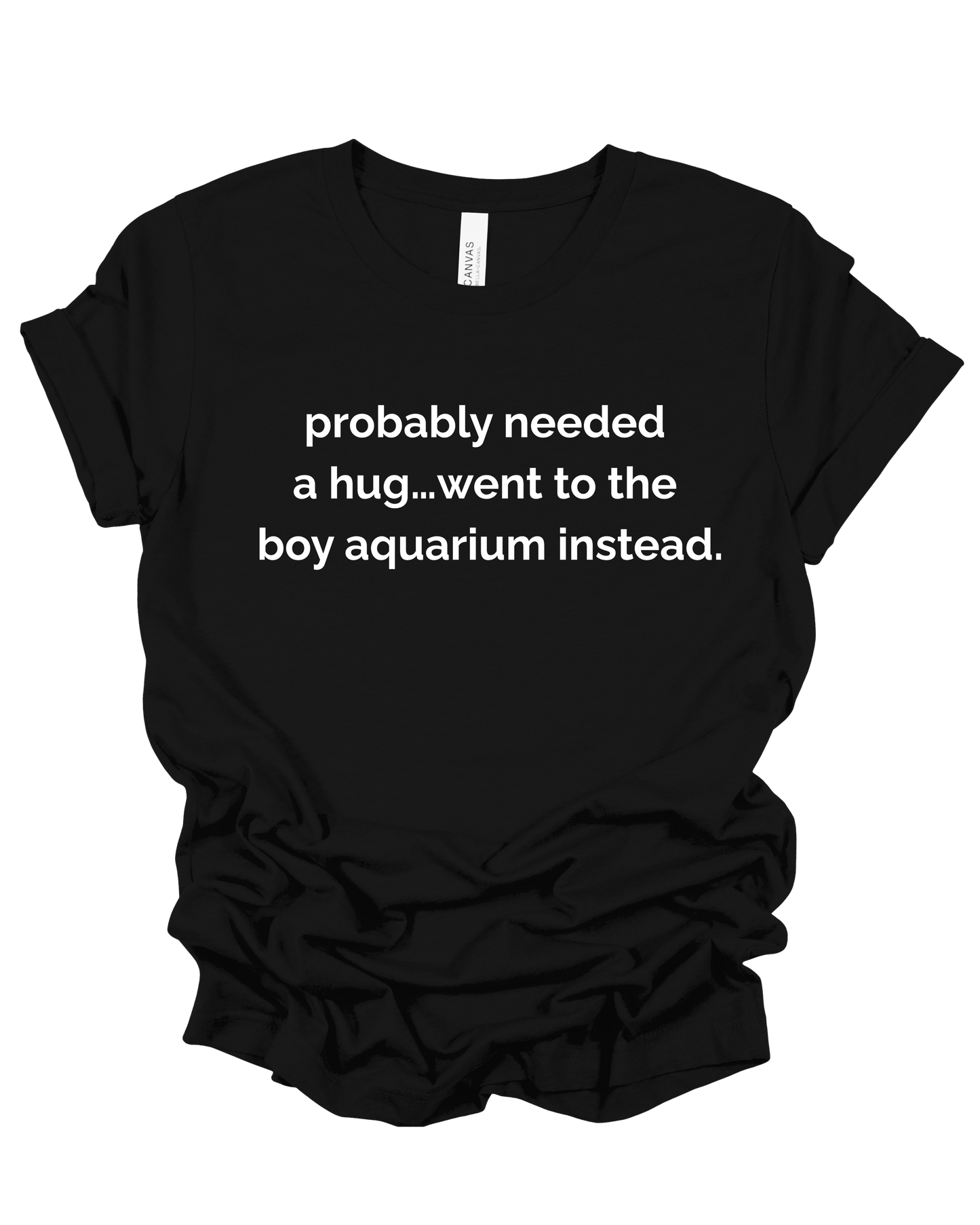 Needed a Hug, Went to the Boy Aquarium